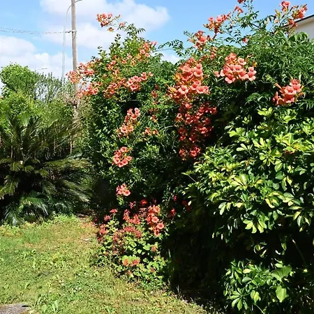 Mehari Bed & Breakfast