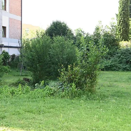 Mehari Bed & Breakfast Pisa